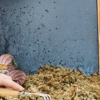 Page Exterminating Services gallery