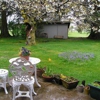 Miller Tree Inn Bed and Breakfast gallery