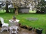 Miller Tree Inn Bed and Breakfast - Bed & Breakfast & Inns