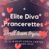 Elite Prancers and Diva Prancerettes gallery