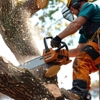 Carle Place Tree Service gallery