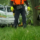 Mr Stump - Tree Service