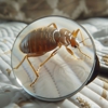 Churchill Mosquito gallery
