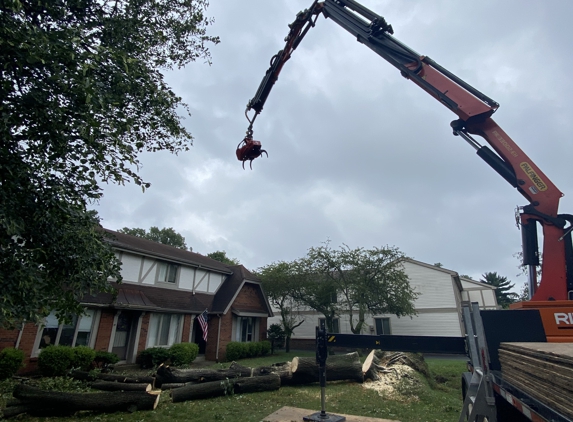 Extreme Tree Service - Swanton, OH