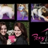 Foxy Roxy Grooming gallery