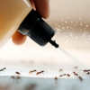 Choice Pest Control gallery