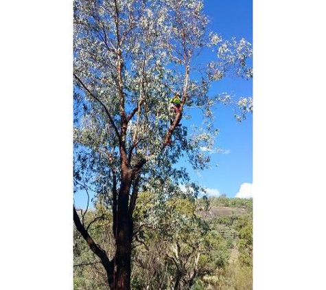 Bell's Tree Service - Oxley Vale, NSW