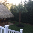 Island Wide Palm Trees - Tree Service