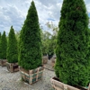 Moon Valley Nurseries gallery