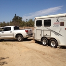 Miss Jiminy's Horse Transport - Horse Transporting