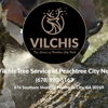Vilchis Tree Service of Peachtree City North gallery