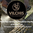 Vilchis Tree Service of Peachtree City North - Tree Service