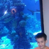Dillon's KC BBQ at Wildlife World Zoo gallery