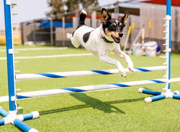 Paradise Pet Resorts - Santa Rosa, CA