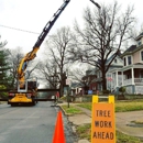 Arbor Management Specialists - Tree Service