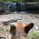 Nerstrand Woods State Park