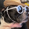 Red Barn Vet Care gallery
