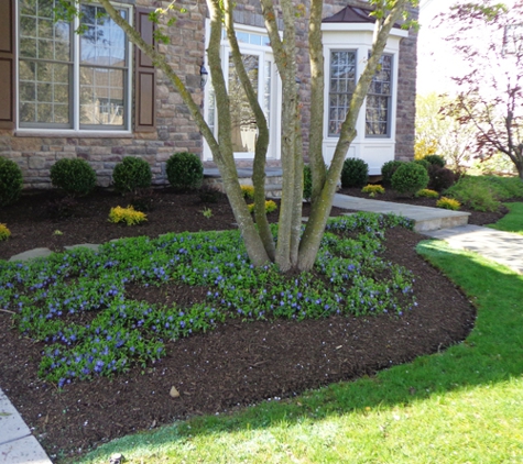 Pileggi Landscaping - Lansdale, PA