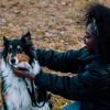 Dog Training Elite New Mexico gallery