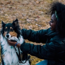 Dog Training Elite New Mexico - Pet Training