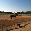 In the Irons Equestrian Center gallery