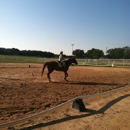 In the Irons Equestrian Center - Horse Training