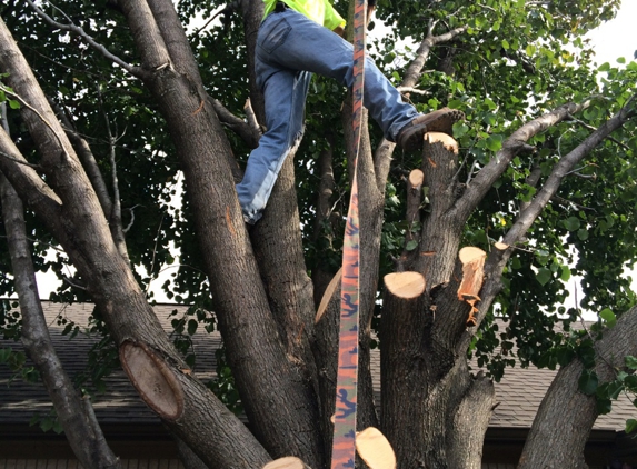 C & J Tree and Gutter Service - Kaufman, TX