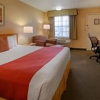 Best Western Horizon Inn gallery