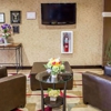 Comfort Suites gallery