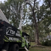 TSR Tree Service gallery