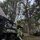 TSR Tree Service - Tree Service
