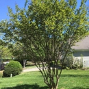 Blue Mountain Landscaping - Lawn Maintenance