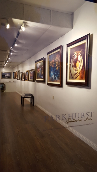 Carousel Gallery #41