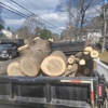 NXT Landscaping & Tree Service gallery