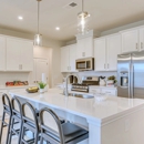 Orchid Ridge at The Hive by Stanley Martin Homes - Real Estate Developers