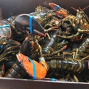 Kool Ice & Seafood Co - Ice