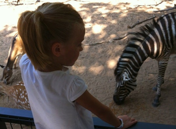 Sharkarosa Wildlife Ranch - Pilot Point, TX