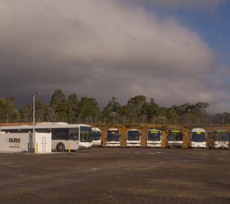 Castlemaine Bus Lines Pty Ltd