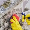PuroClean Certified Restoration Specialists gallery