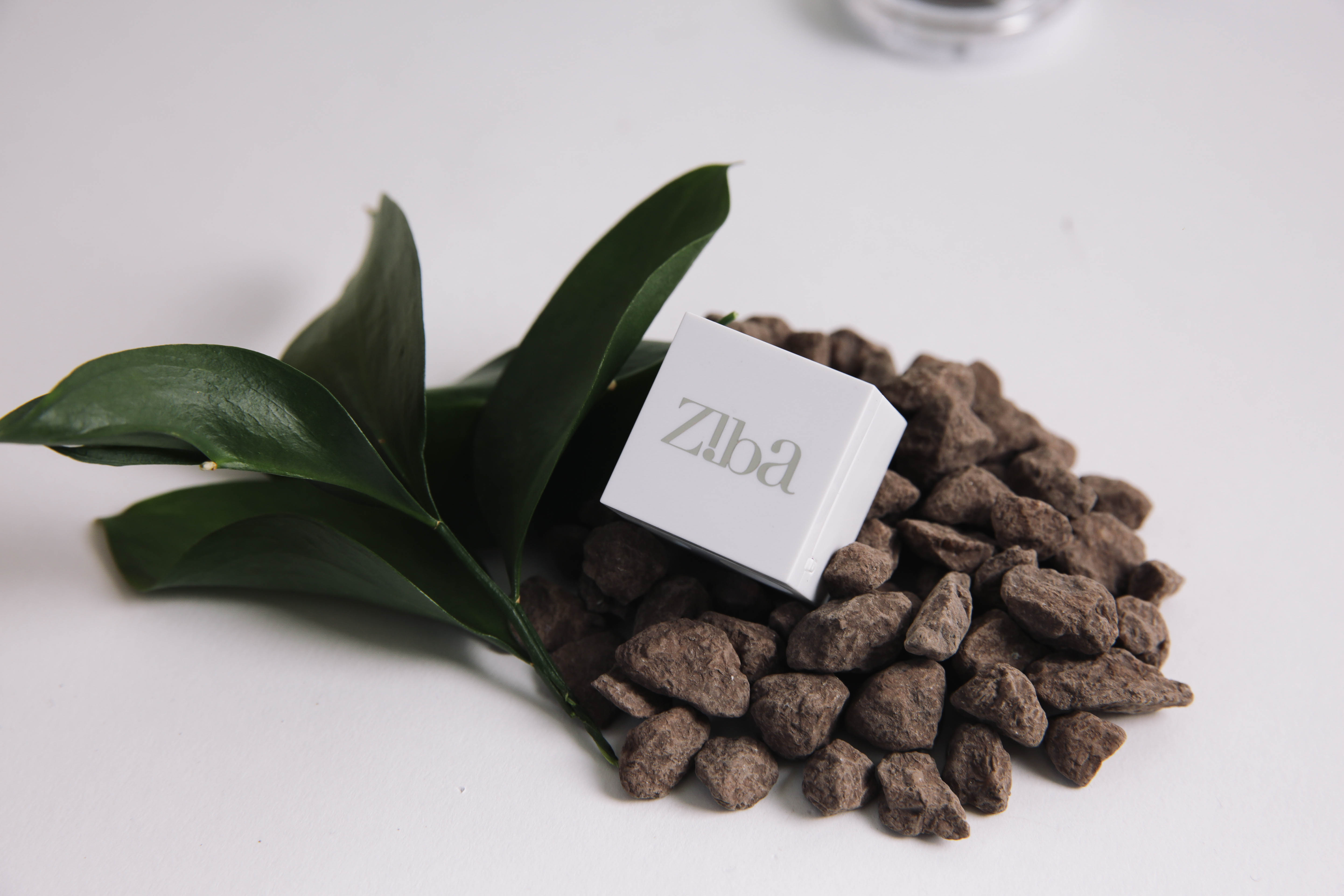 Ziba Beauty Eyebrow Threading 2103 Glendale Galleria, Glendale, CA