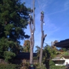 Luke's Tree Care Inc gallery