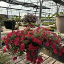 Emery Greenhouse - Greenhouses