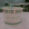 Yogurtini gallery