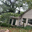 Morton's Tree Care - Tree Service