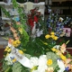 Bloomers Florist & Gift Shop