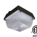 LED Lighting Biz