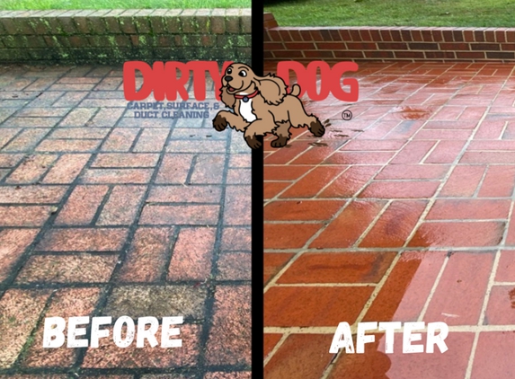 Dirty Dog Carpet, Surface and Duct Cleaning - Harrisonburg, VA