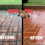 Dirty Dog Carpet, Surface and Duct Cleaning