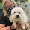Healthy Petz Family Vet gallery