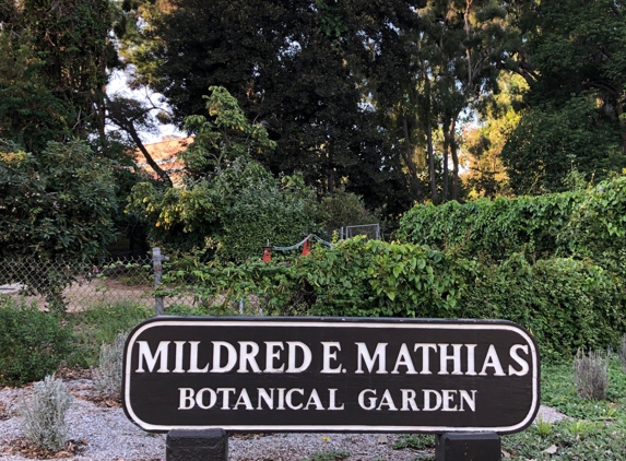 Mildred E Mathias Botanical - Los Angeles, CA